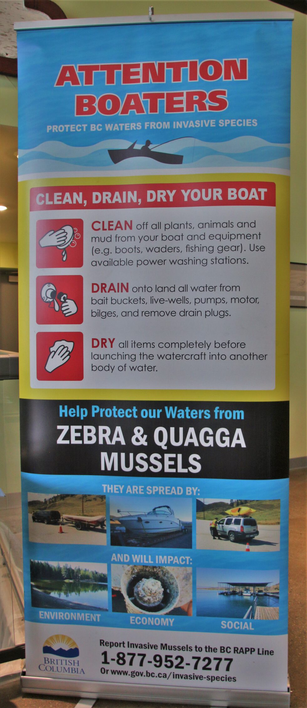 Federal Invasive Mussel Response ‘falls Far Short’, Says Okanagan Basin ...